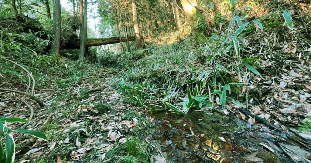 小さな沢があって水が流れている