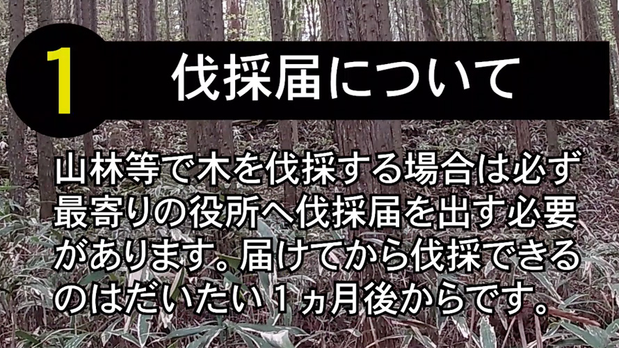 伐採届けについて